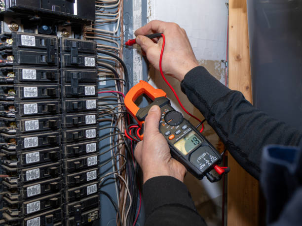 Best Electric Panel Repair  in Waterloo, NE